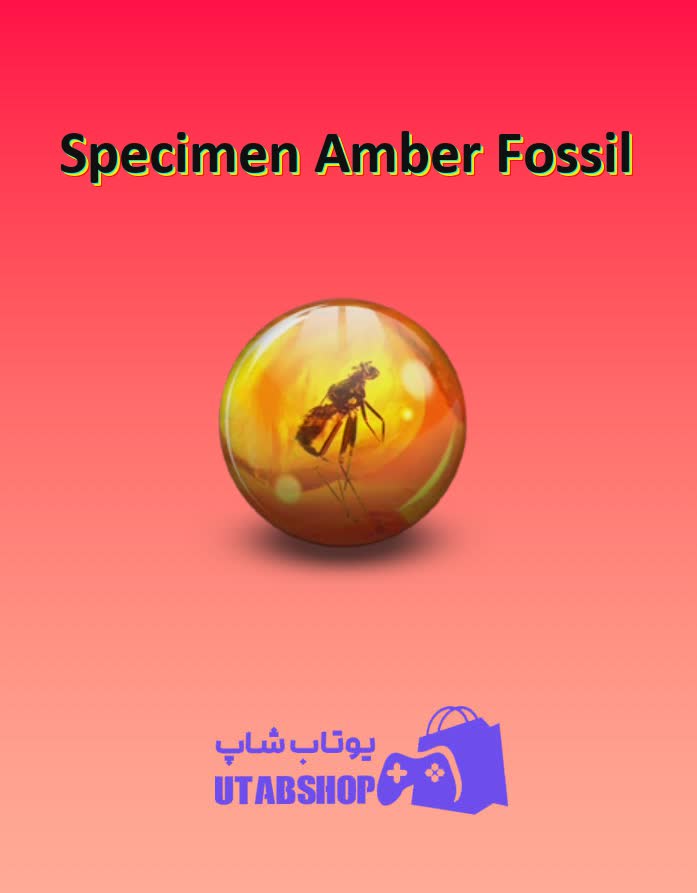 بولینگ-Specimen Amber Fossil