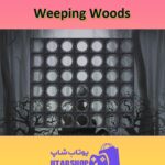 تم-Weeping Woods
