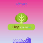 تم-چت-Lettuce