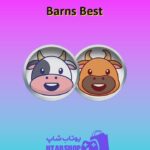 تیم-فوتبال-Barn's Best