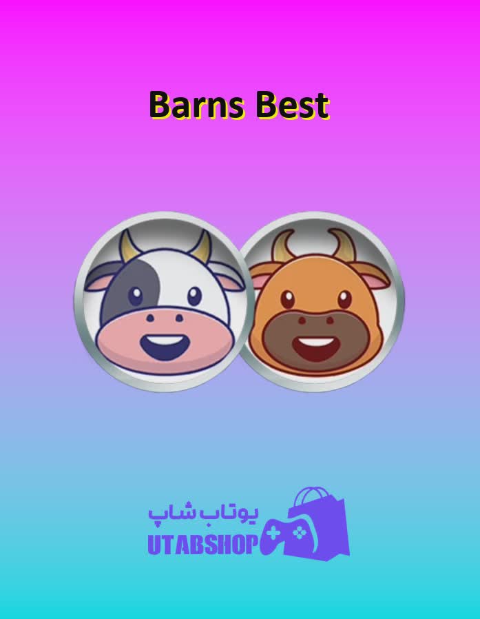 تیم-فوتبال-Barn's Best