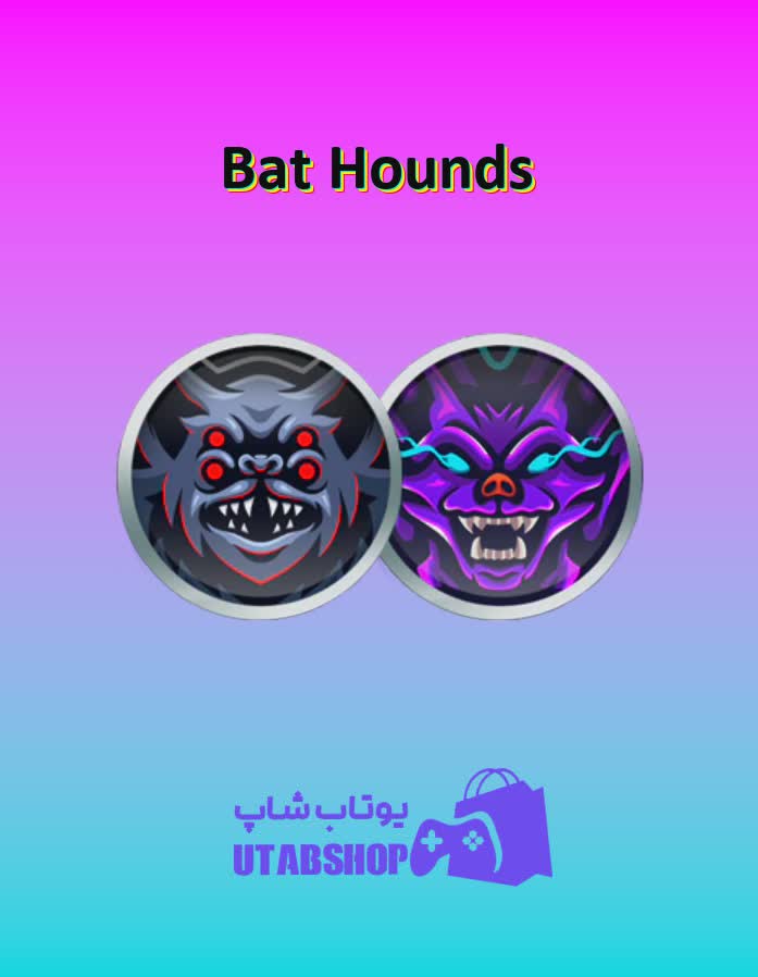 تیم-فوتبال-Bat Hounds