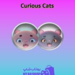 تیم-فوتبال-Curious Cats