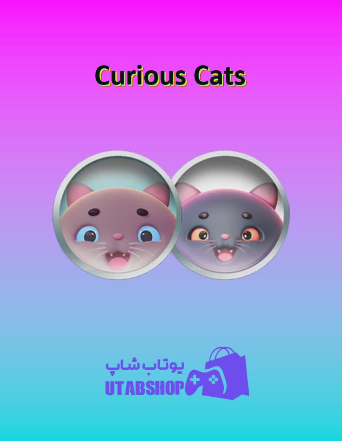 تیم-فوتبال-Curious Cats