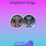 تیم-فوتبال-Elephant-Kings