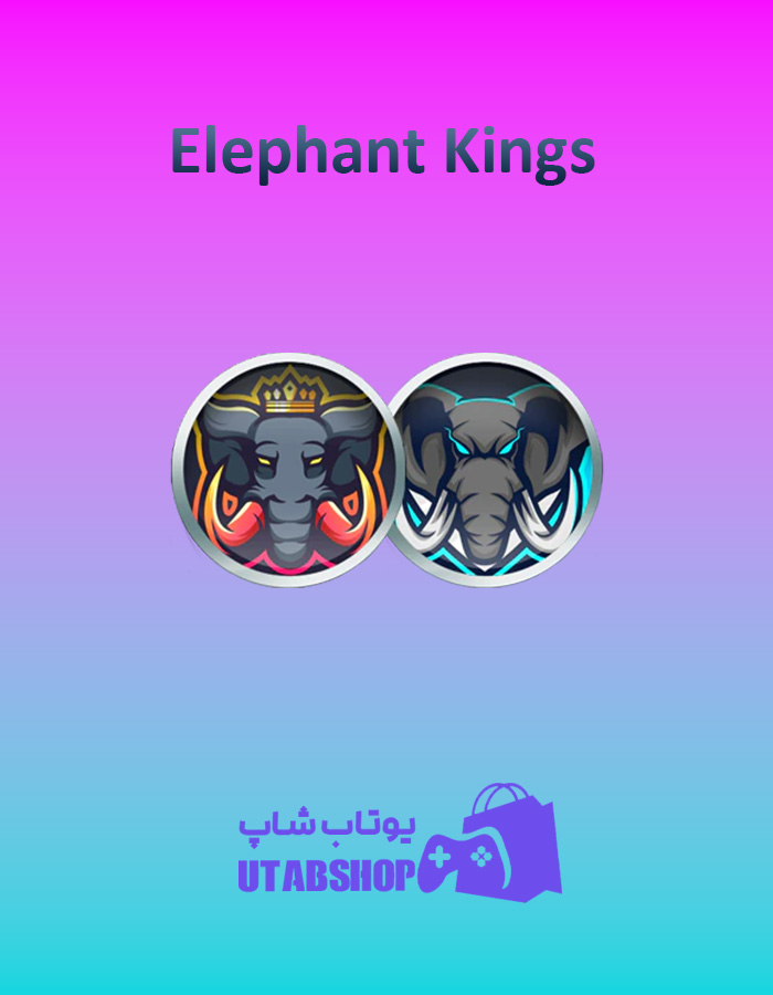 تیم-فوتبال-Elephant-Kings