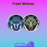 تیم-فوتبال-Frost Wolves