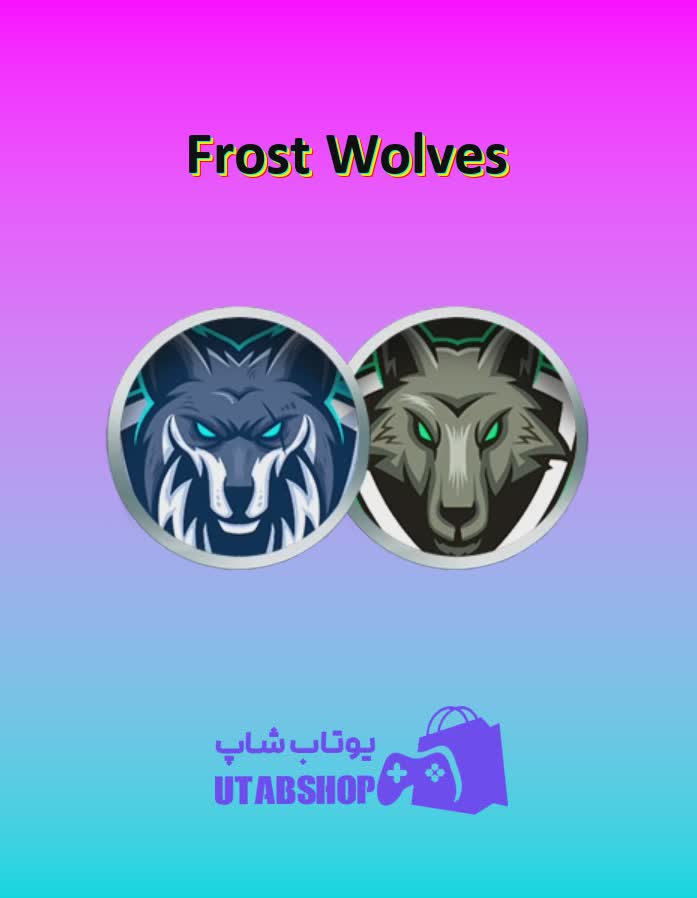 تیم-فوتبال-Frost Wolves