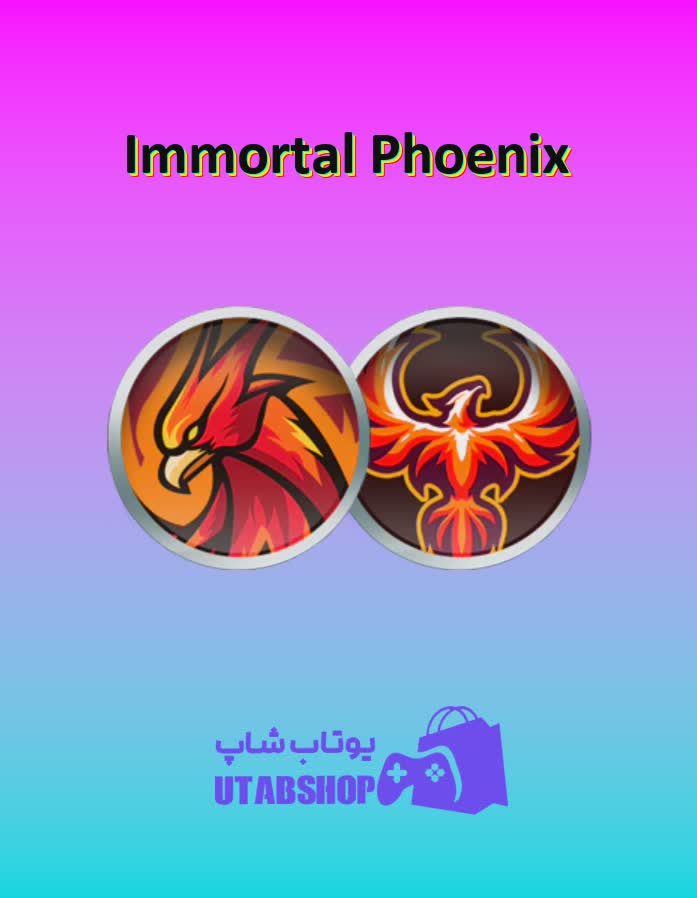 تیم-فوتبال-Immortal Phoenix