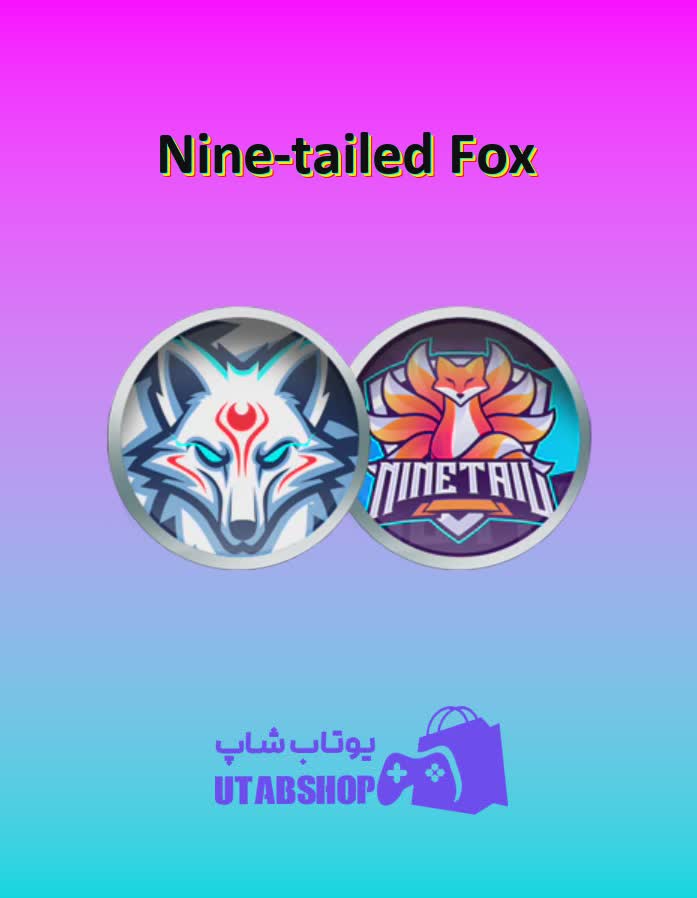 تیم-فوتبال-Nine-tailed Fox