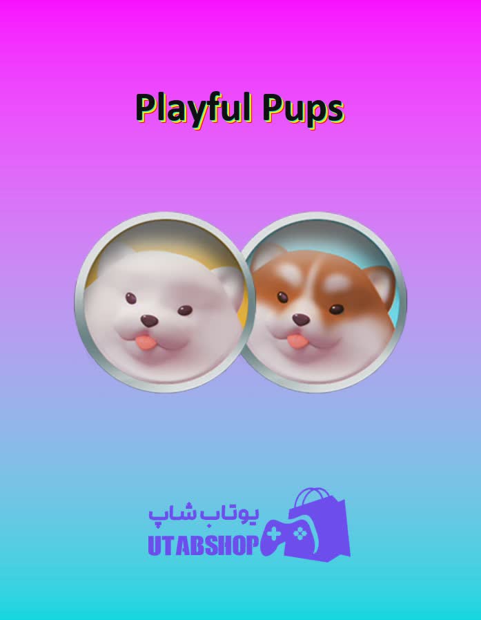 تیم-فوتبال-Playful Pups