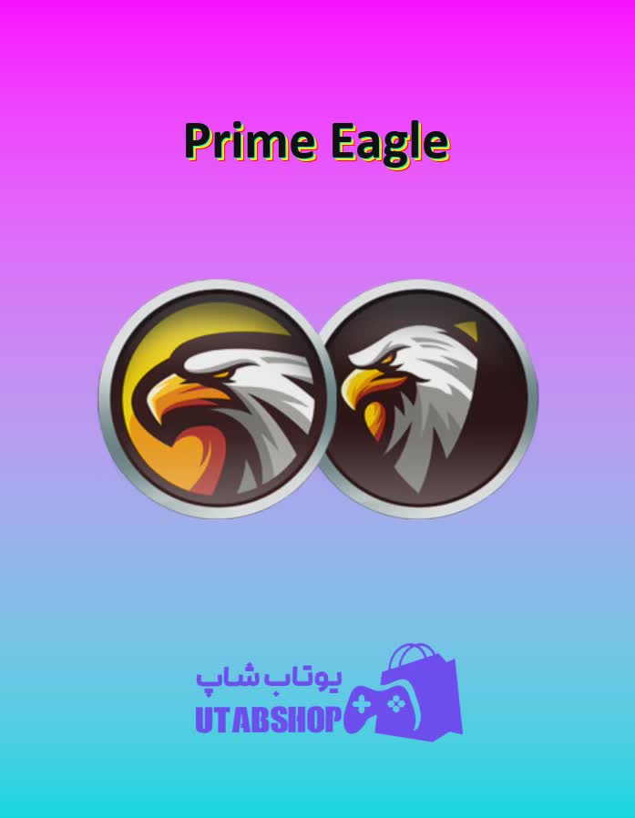 تیم-فوتبال-Prime Eagle