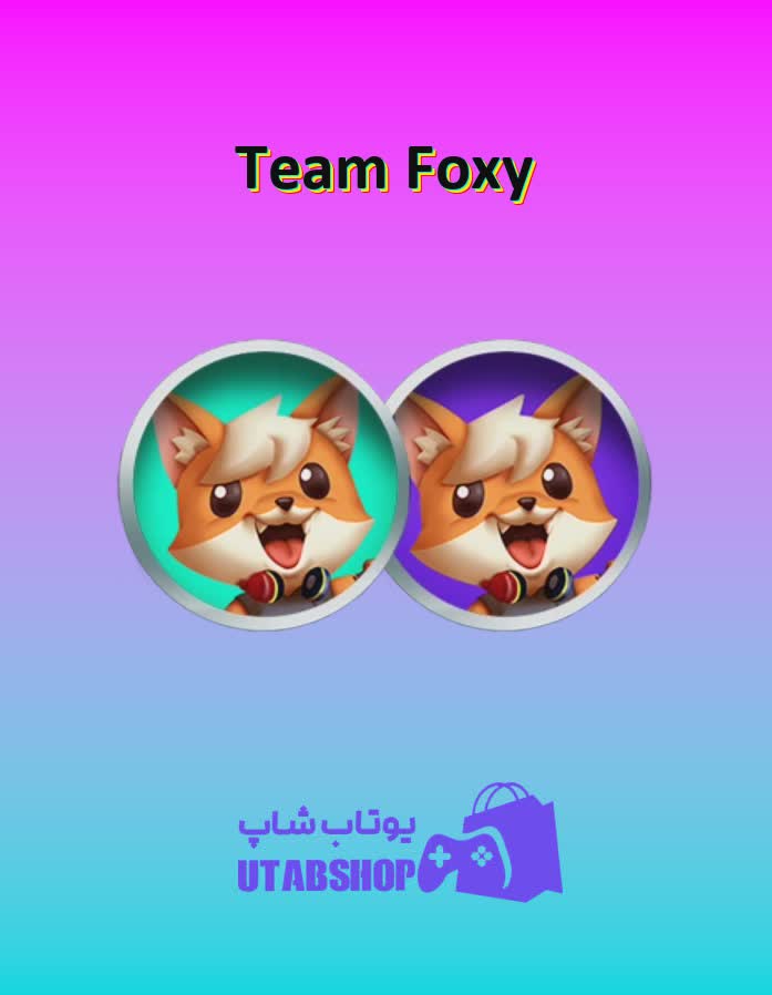 تیم-فوتبال-Team Foxy