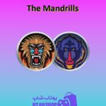 تیم-فوتبال-The Mandrills