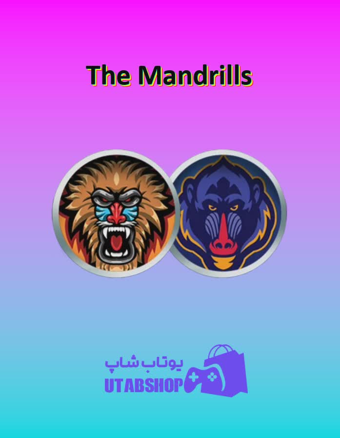 تیم-فوتبال-The Mandrills