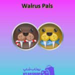 تیم-فوتبال-Walrus Pals