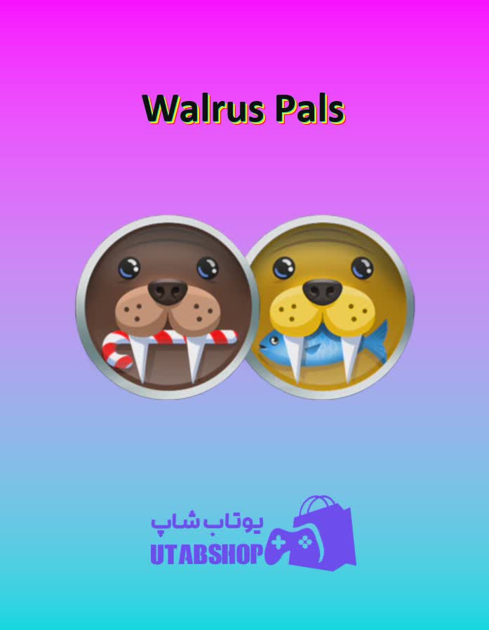 تیم-فوتبال-Walrus Pals