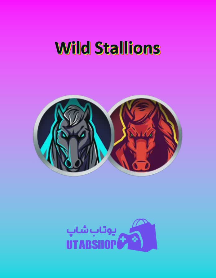 تیم-فوتبال-Wild Stallions