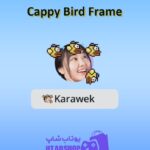 قاب-Cappy Bird Frame