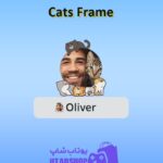 قاب-Cats Frame