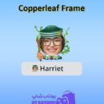 قاب-Copperleaf Frame