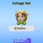 قاب-Cottage Hat