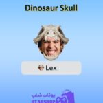 قاب-Dinosaur Skull