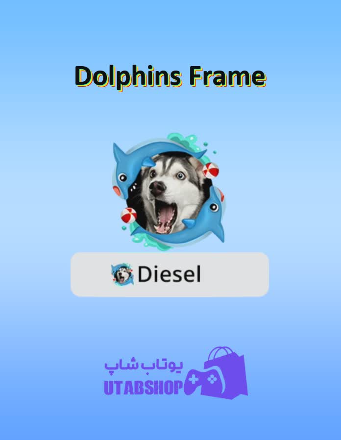 قاب-Dolphins Frame