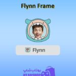 قاب-Flynn Frame