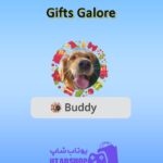 قاب-Gifts Galore