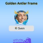 قاب-Golden Antler Frame