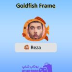 قاب-Goldfish Frame