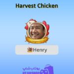قاب-Harvest Chicken