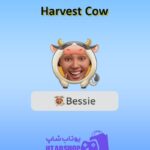 قاب-Harvest Cow