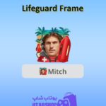 قاب-Lifeguard Frame