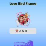 قاب-Love Bird Frame