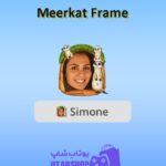 قاب-Meerkat Frame