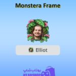 قاب-Monstera Frame
