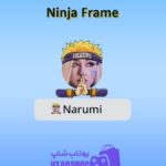 قاب-Ninja Frame