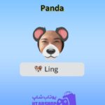 قاب-Panda