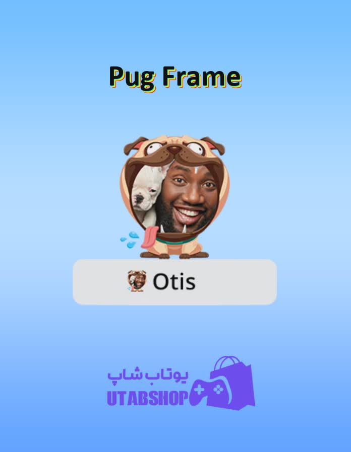 قاب-Pug Frame