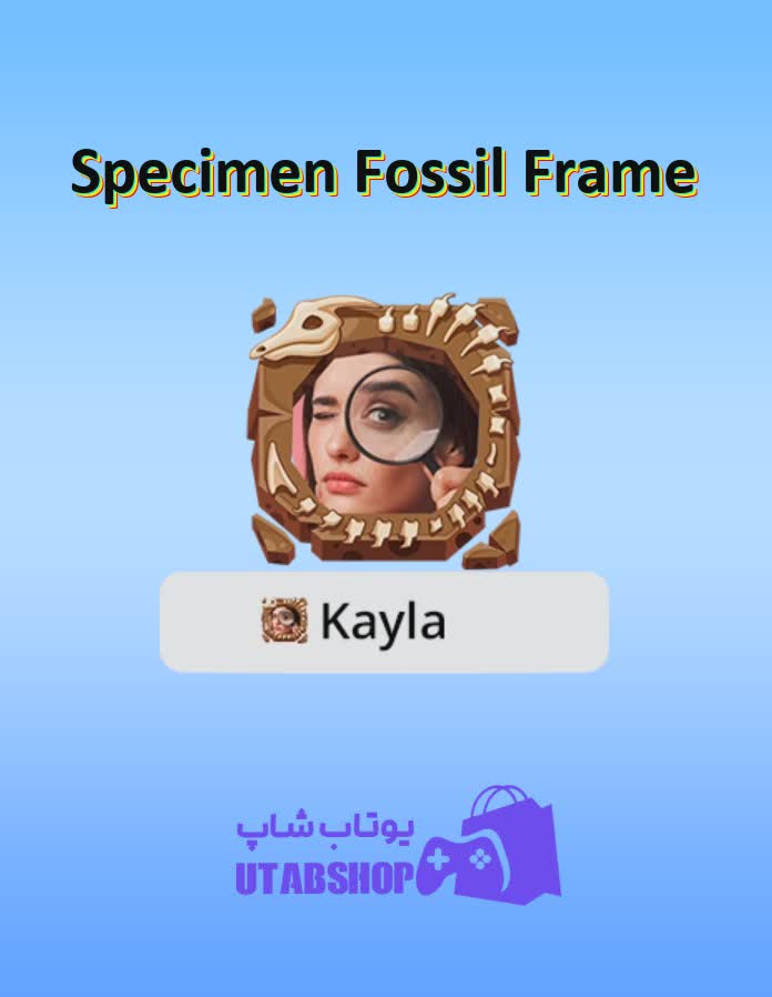 قاب-Specimen Fossil Frame