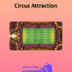 میز-بیلیارد-Circus Attraction