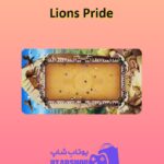 میز-بیلیارد-Lions' Pride