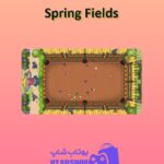 میز-بیلیارد-Spring Fields
