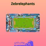 میز-بیلیارد-Zebrelephants