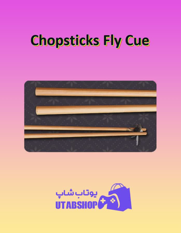 چوب-بیلیارد-Chopsticks Fly Cue