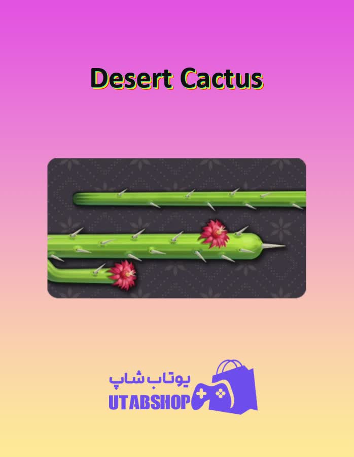 چوب-بیلیارد-Desert Cactus