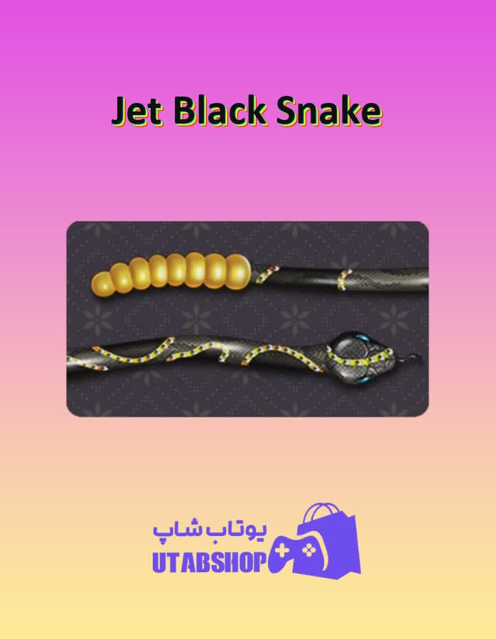 چوب-بیلیارد-Jet Black Snake