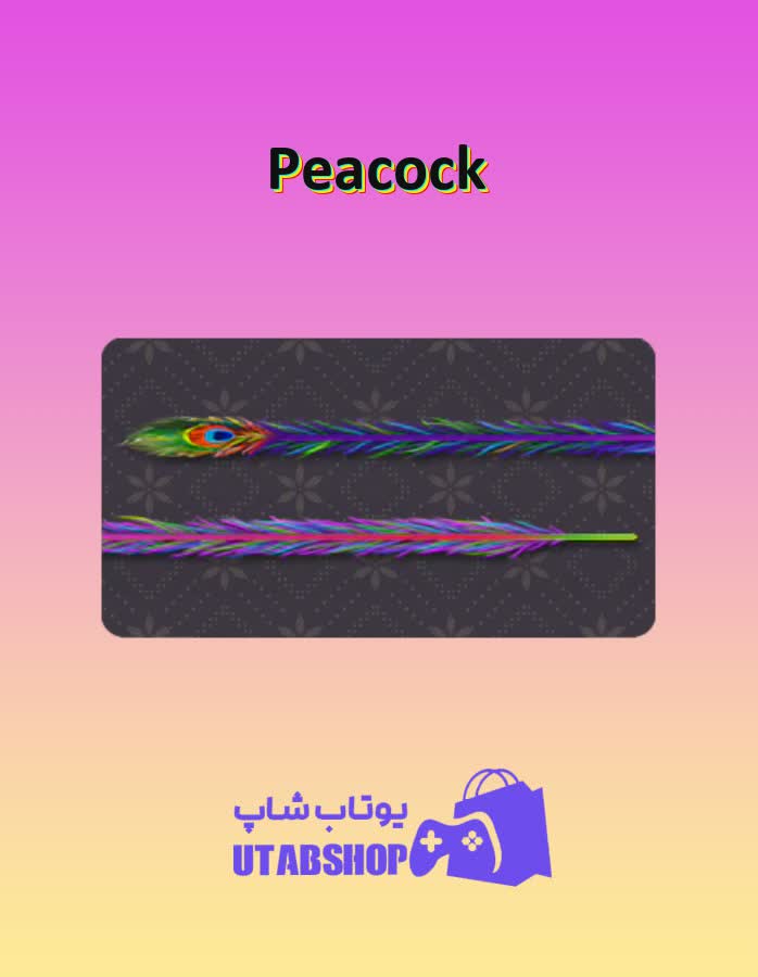 چوب-بیلیارد-Peacock